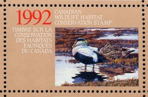 CANADA 1992 DUCK STAMP MINT IN FOLDER AS ISSUED COMMON EIDERS by B. Carter