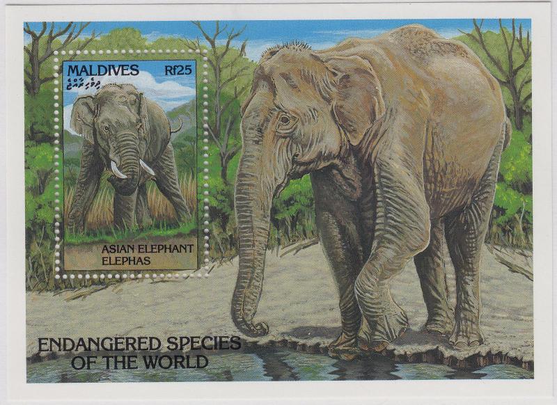 MALDIVE ISLANDS MNH Scott # 1866 Asian Elephant (1 Stamp)