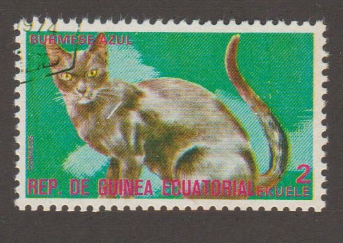 717 Cats - 1975