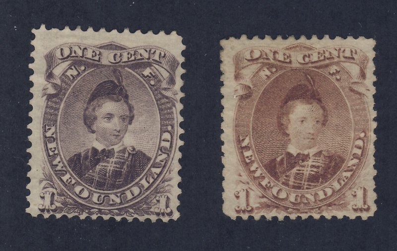 Newfoundland  Stamp #32-1c #32a-1c Both MNG  Guide Value = $190.00