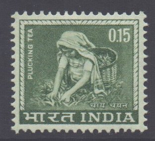 India Scott 412 - SG510, 1965 Picking Tea 15np MH*