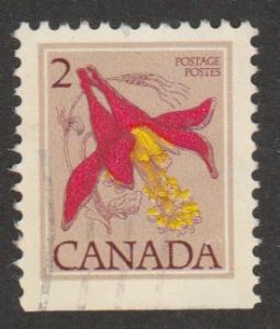 707 Western Columbine