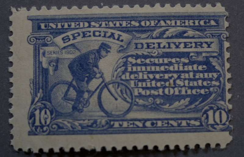 United States #E11 10 Cent Special Delivery MNH