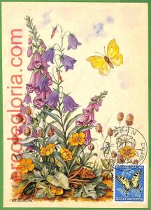 15642 - Switzerland - MAXIMUM CARD - 1954 - flower, butter tiles-