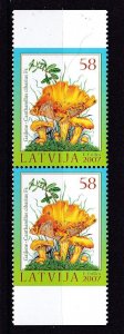 Latvia, Mushrooms MNH / 2007