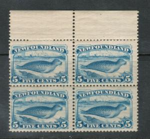 Newfoundland #55 Mint Fine - Very Fine Never Hinged Block From The Top Margin