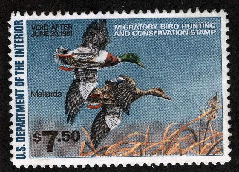 US Sc RW47 1980 $7.50 Federal Duck Disturbed OG