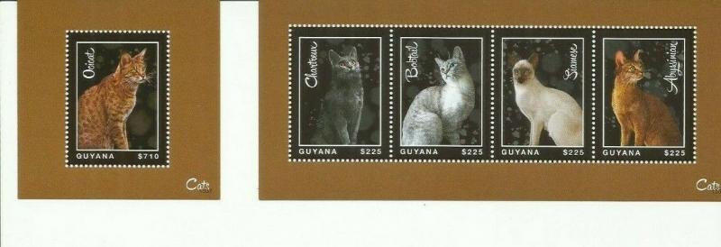 GUYANA 2013 CATS SCOTT 4274-5 MNH COMPLETE SET 