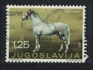 Yugoslavia Lipizzaner horse 1969 Canc SG#1386