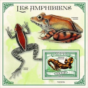 Togo 2021 MNH Amphibians Stamps Salamanders Fire Salamander Frogs 1v S/S