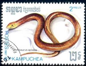 Snake, Sheltopusik, Cambodia stamp SC#810 Used