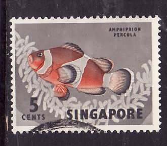 Singapore-Sc#55-used 5c gray & red orange-Fish-1962-