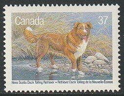 1988 Canada - Sc 1218 - MNH VF - 1 single - Dogs - NS Duck Trolling Retriever