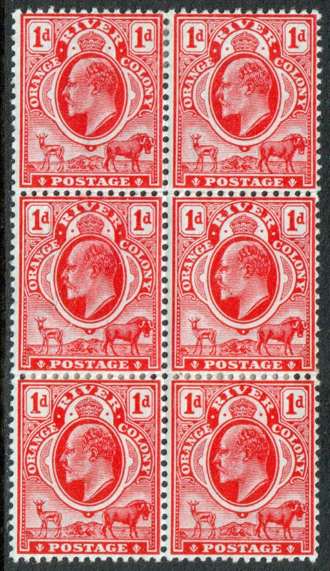 Orange Free State KEVII 1903 1d Scarlet Orange River Block x 6 SG140 Mint MH