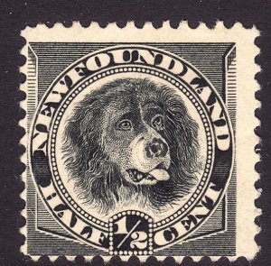 1894 Newfoundland Canada Newfoundland Dog ½¢ black MMH Sc# 58 CV $14.00