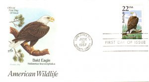 #2309 Bald Eagle Artcraft FDC