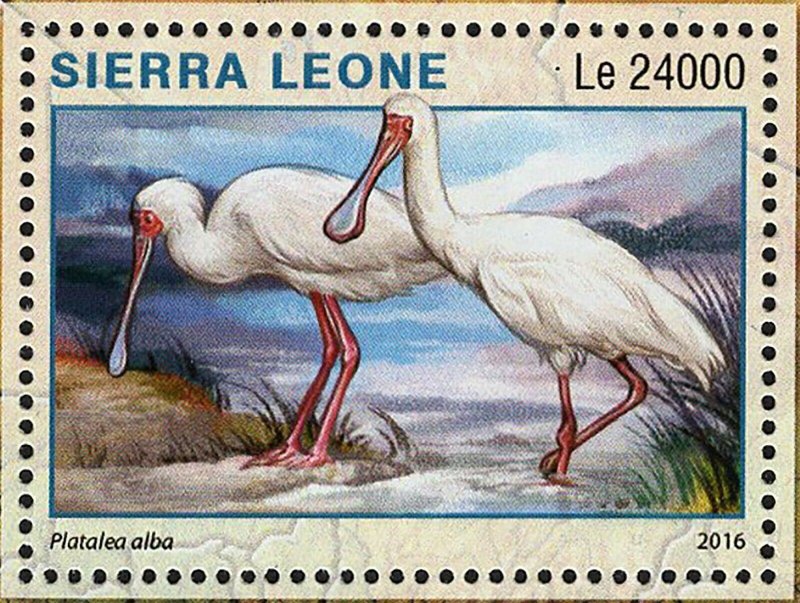 Selous Reserve Stamp Tanzania Platalea Alba S/S MNH #7309 / Bl.991