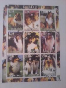 MORDOVIA SHEET USED DOGS