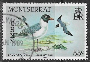 Montserrat ~ Scott # O71 ~ Used ~ Laughing Gull