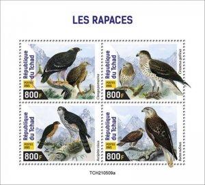 Chad - 2021 Birds of Prey, Sparrowhawk, Buzzard - 4 Stamp Sheet - TCH210509a