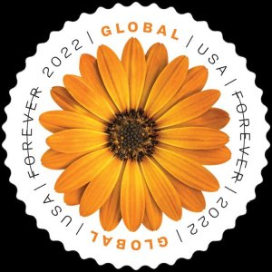 #5680 2022 African Daisy  - MNH