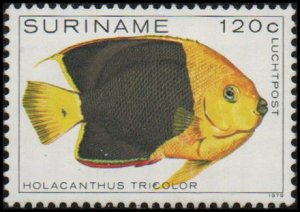 Suriname C91 - Mint-NH - 120c Rock Beauty (1979) (cv $1.60)