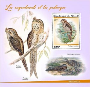 Niger - 2022 Nightjars and Frogmouths - Stamp Souvenir Sheet - NIG220451b