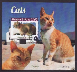 Maldives-used sheet-Animals-Cats-Australian Mist-2019-