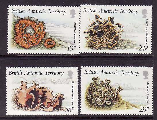 British Antarctic Territory-Sc#149-52- id9-unused NH set-Lichens-1989-