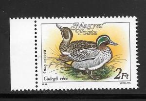 Hungary  #3136 MNH Crecca Ducks Single