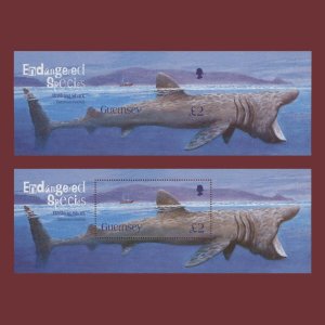Guernsey 2005 (Variety) £2 Basking shark imperf miniature sheet ...