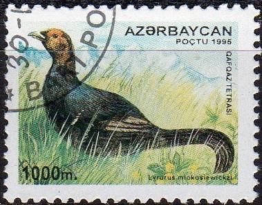 Azerbaijan 545 - Cto - 1000m Caucasian Black Grouse (Dark) (1995) (cv $3.00) (1)