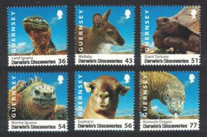 Guernsey Iguana Wallaby Komodo Dragon Darwin's Discoveries 6v SG#1267-1272