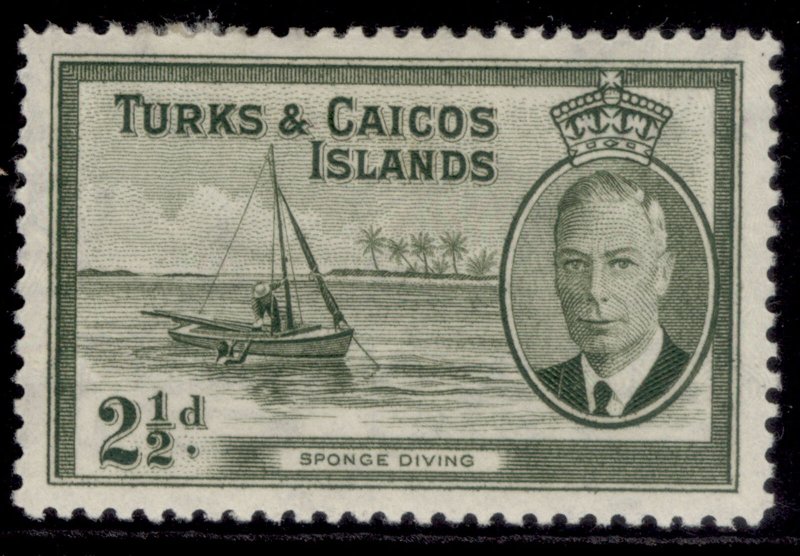 TURKS & CAICOS ISLANDS GVI SG225, 2½d grey-olive, M MINT.