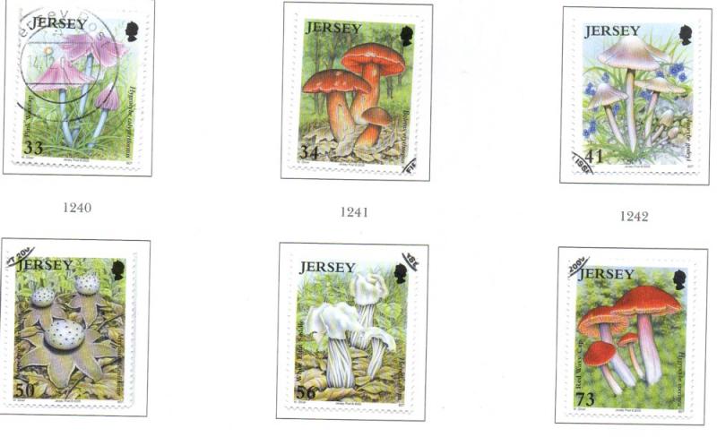 Jersey Sc 1183-8 2005 Mushrooms stamp set used