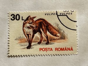 Romania–1993–Single “Mammal” Stamp–SC# 3839 - CTO