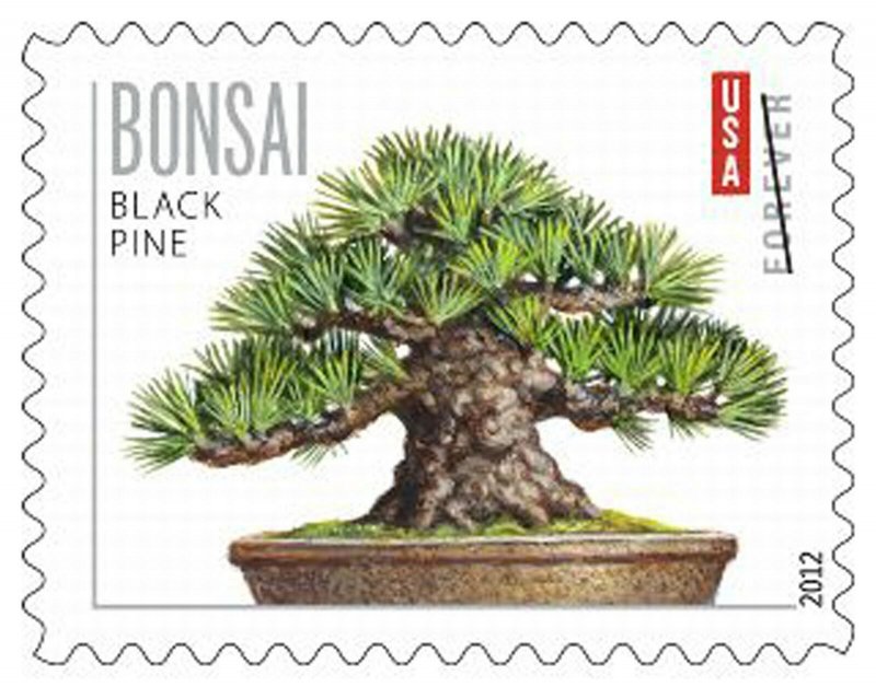 4622b, Bonsai Trees Booklet Pane of 20 GENUINE Forever Stamps - Stuart Katz 