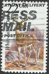 # 2317 USED WHITE-TAILED DEER