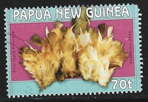 Papua New Guinea #1127   used