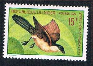 Niger 235 MLH Senegalese Coucal (BP10022)