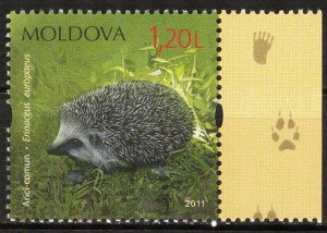 Moldova 2011 Animals Hedgehog MNH