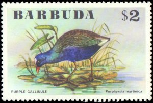 Barbuda #238-243, Complete Set(6), 1976, Birds, Never Hinged