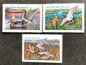 Russia 6090-6092 MNH