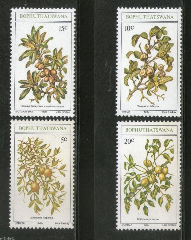 Bophuthatswana 1980 Edible Wild Fruits Trees Plants Flora Sc 56-59 MNH # 4273