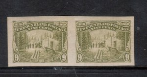 Newfoundland #100a Extra Fine Mint Full Original Gum Hinged Imperf Pair