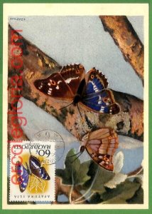 32412 - Hungary - MAXIMUM CARD - Butterflies-