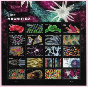 US #5802 (66c) Life Magnified ~ MNH