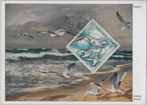 56895 - MONACO - POSTAL HISTORY - MAXIMUM CARD: 1955 BIRDS-