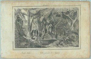 84928 - POLYNESIA - VINTAGE Italian Engraving 1800's -  TAHITI