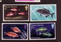 Pitcairn Is Sc 114-17 fish stamp set  mint NH